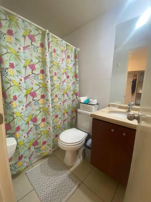 Apartamento Hermoso Departamento Santiago
